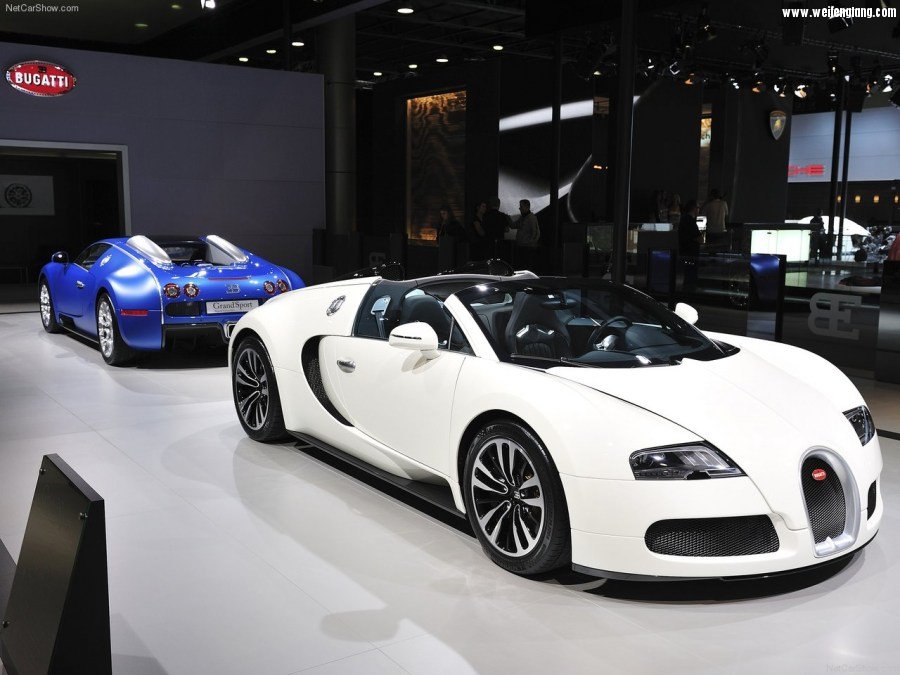 Bugatti-Veyron_Grand_Sport-2009-1280-63.jpg