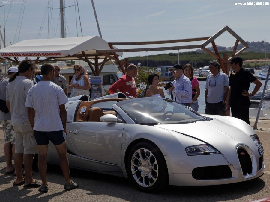 Bugatti-Veyron_Grand_Sport-2009-1280-65.jpg