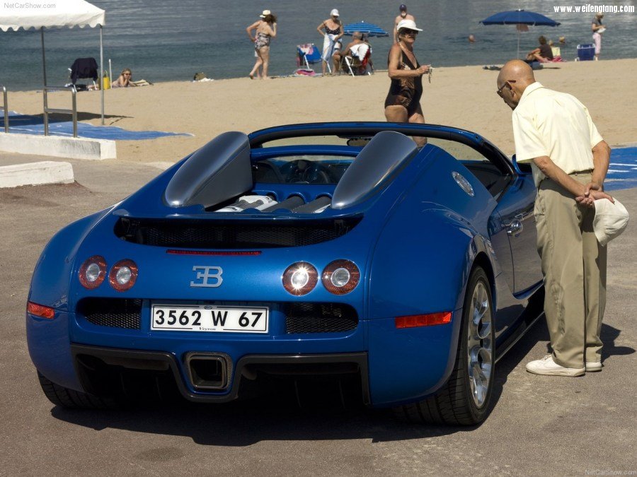 Bugatti-Veyron_Grand_Sport-2009-1280-66.jpg