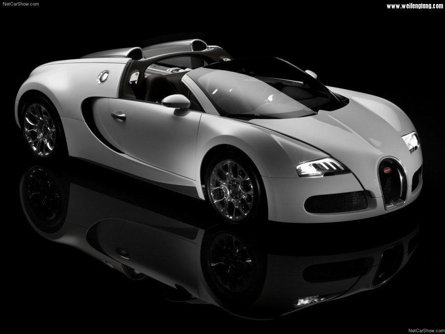 Bugatti-Veyron_Grand_Sport-2009-1280-6b.jpg