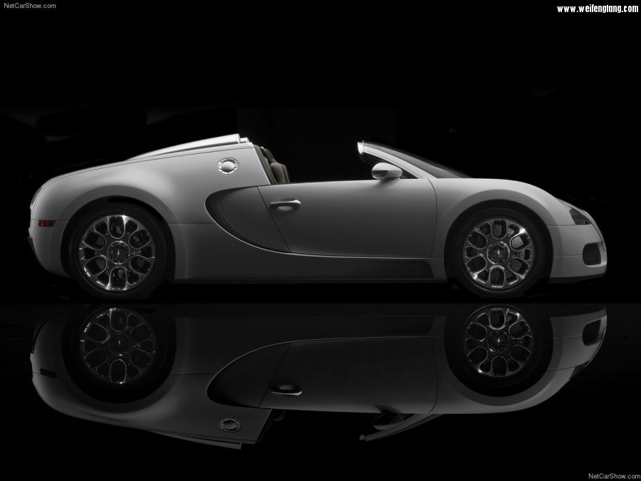 Bugatti-Veyron_Grand_Sport-2009-1280-6c.jpg