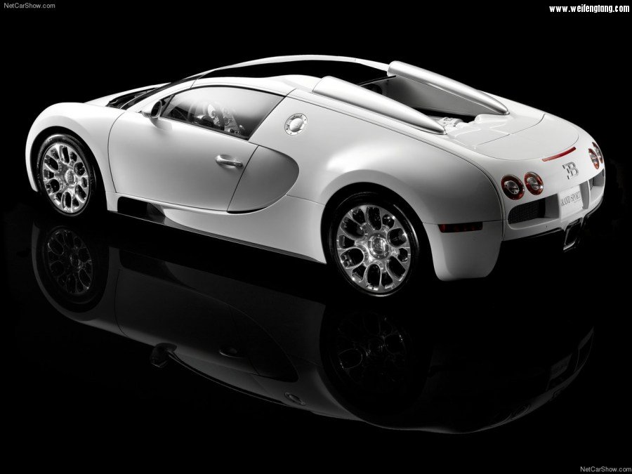 Bugatti-Veyron_Grand_Sport-2009-1280-6f.jpg