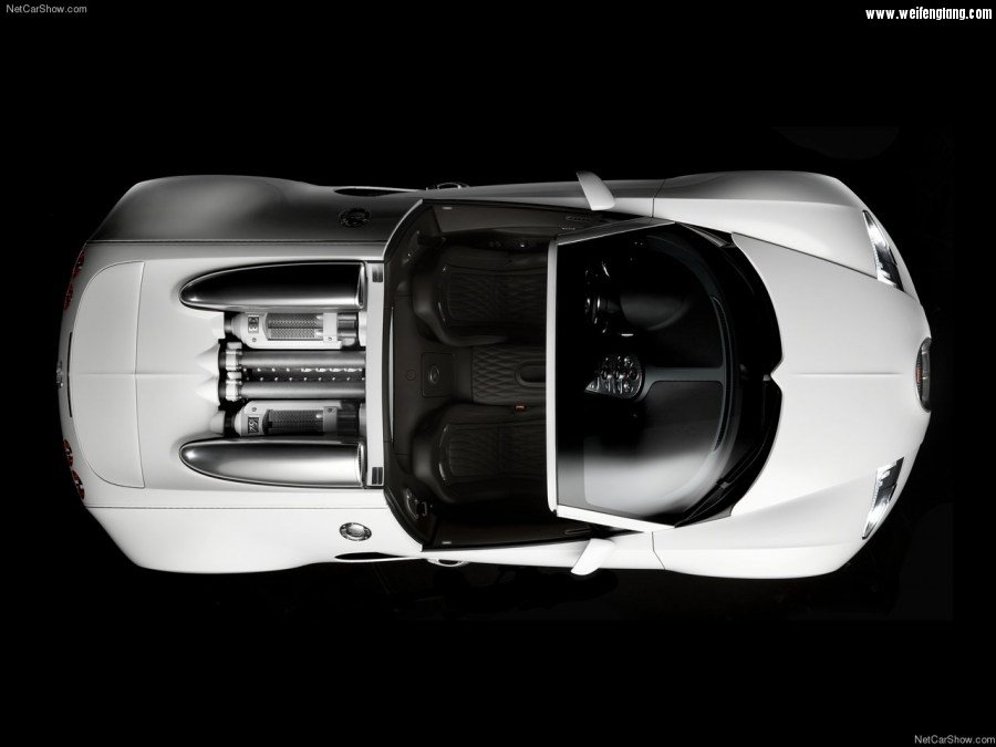 Bugatti-Veyron_Grand_Sport-2009-1280-74.jpg
