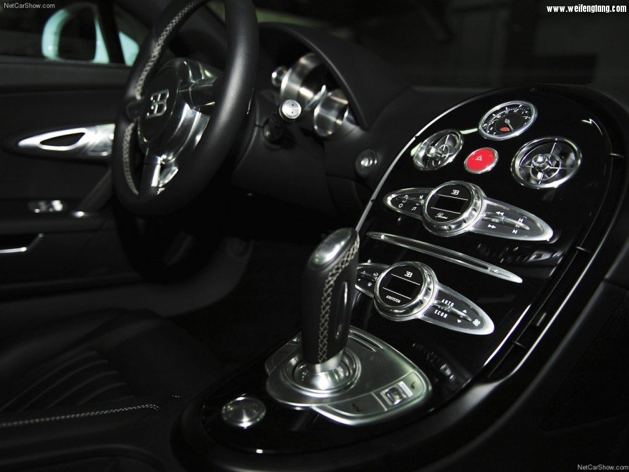 Bugatti-Veyron_Grand_Sport-2009-1280-7e.jpg