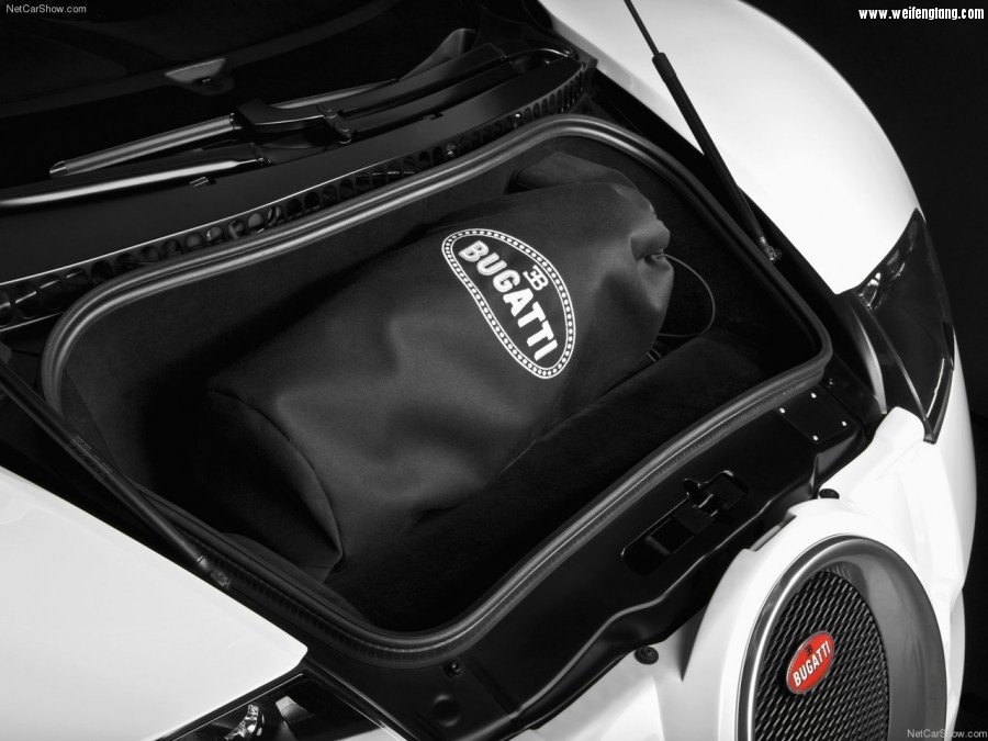 Bugatti-Veyron_Grand_Sport-2009-1280-8c.jpg
