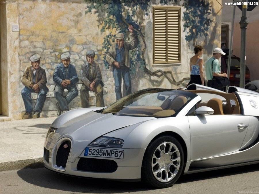 Bugatti-Veyron_Grand_Sport-2009-1280-8d.jpg