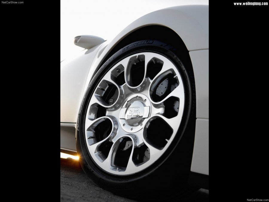Bugatti-Veyron_Grand_Sport-2009-1280-94.jpg