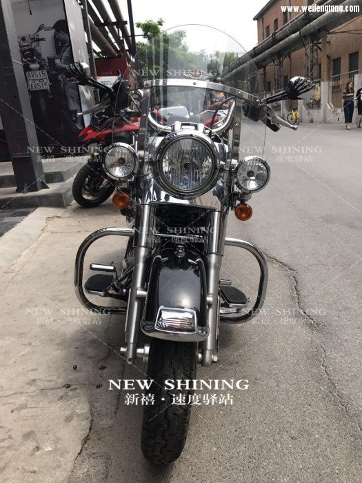 哈雷黛娜征途2.jpg