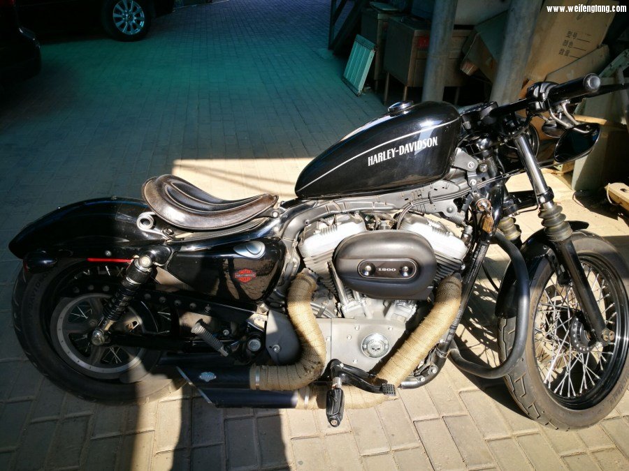 哈雷4.jpg