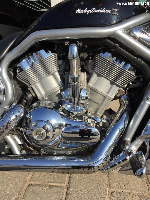 IMG_2190 - 副本.JPG