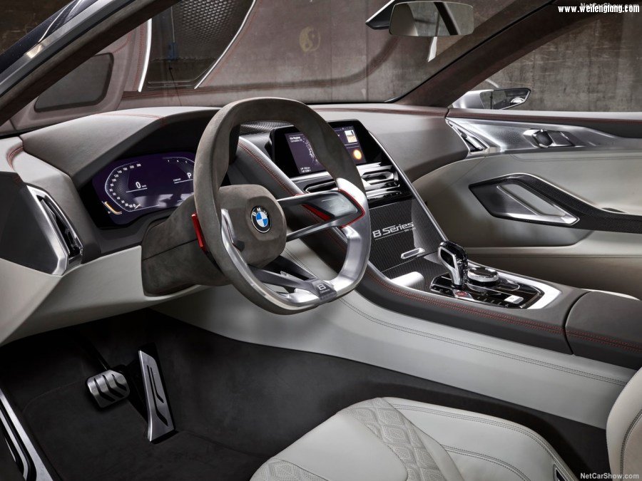 BMW-8-Series_Concept-2017-1280-16.jpg