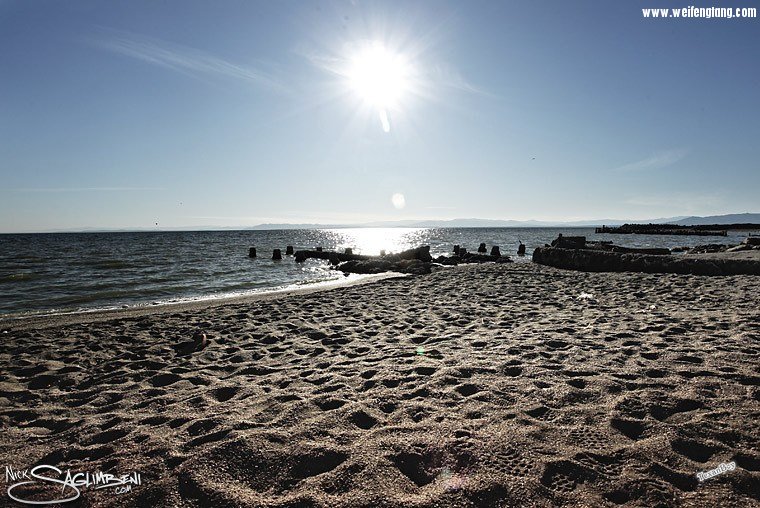 salton-sea-beach.jpg