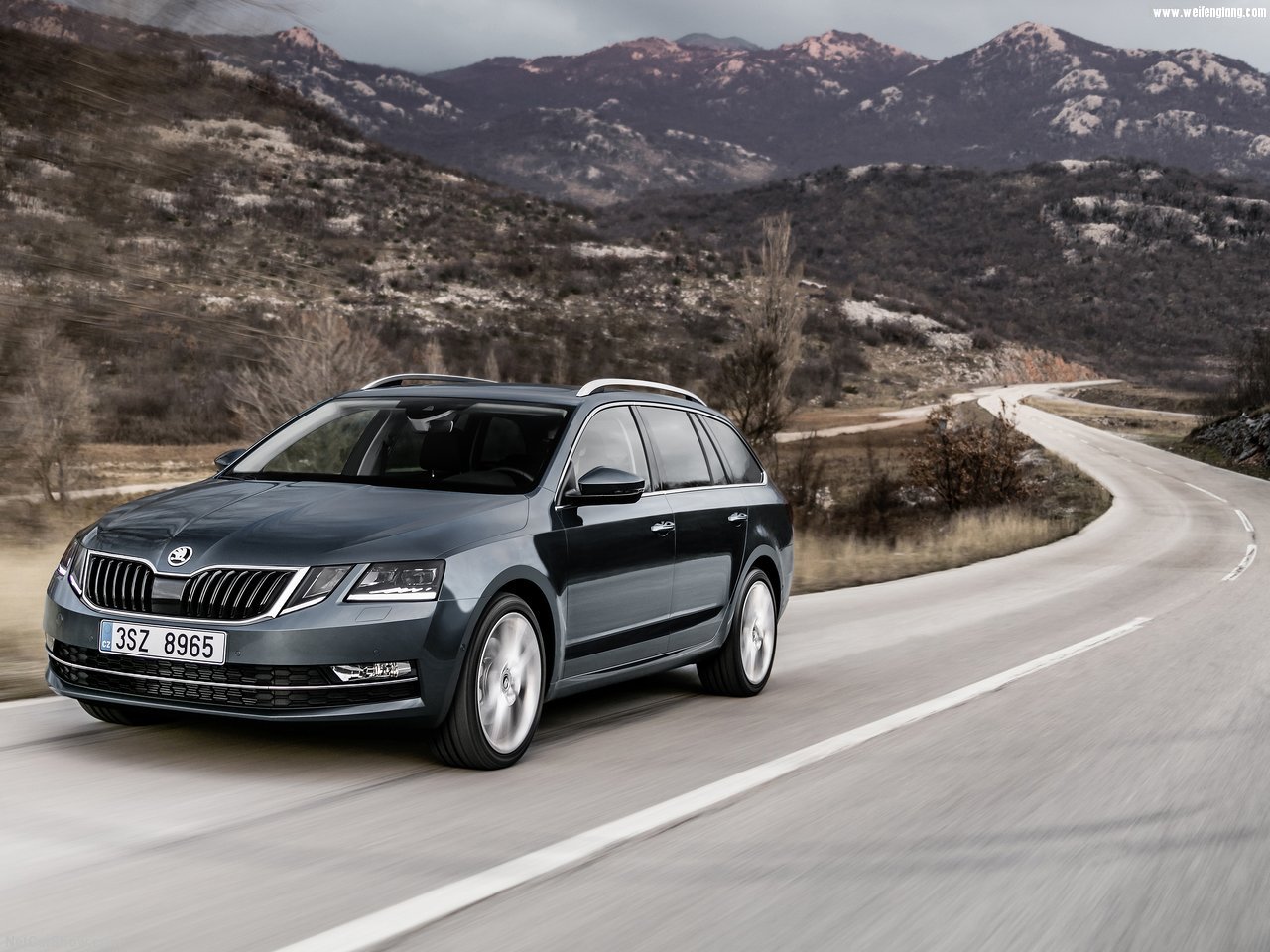 Skoda-Octavia_Combi-2017-1280-07.jpg
