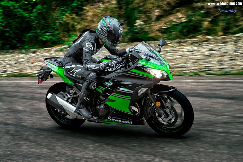 Kawasaki-Ninja-300-2017.jpg