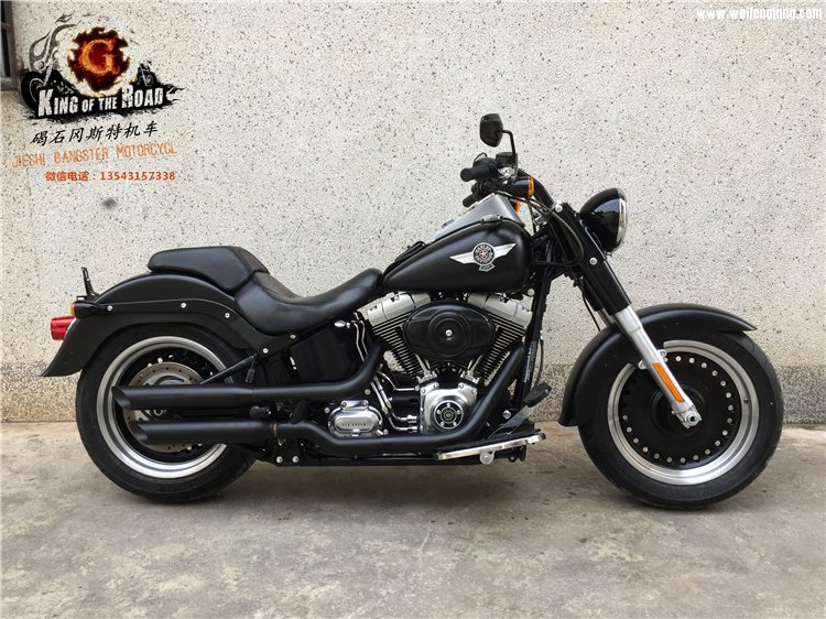 哈雷暗夜肥仔 2011年01.jpg