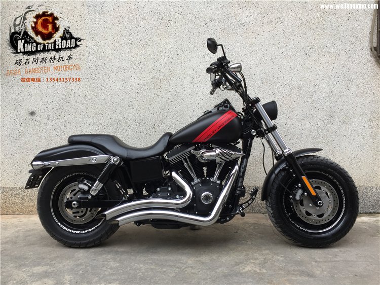 哈雷双灯肥霸 2014年01.jpg
