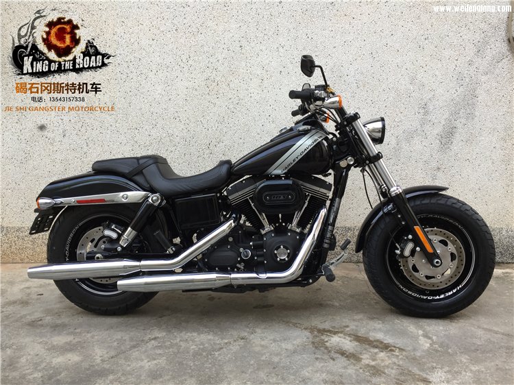 哈雷双灯肥霸 2016年01.jpg