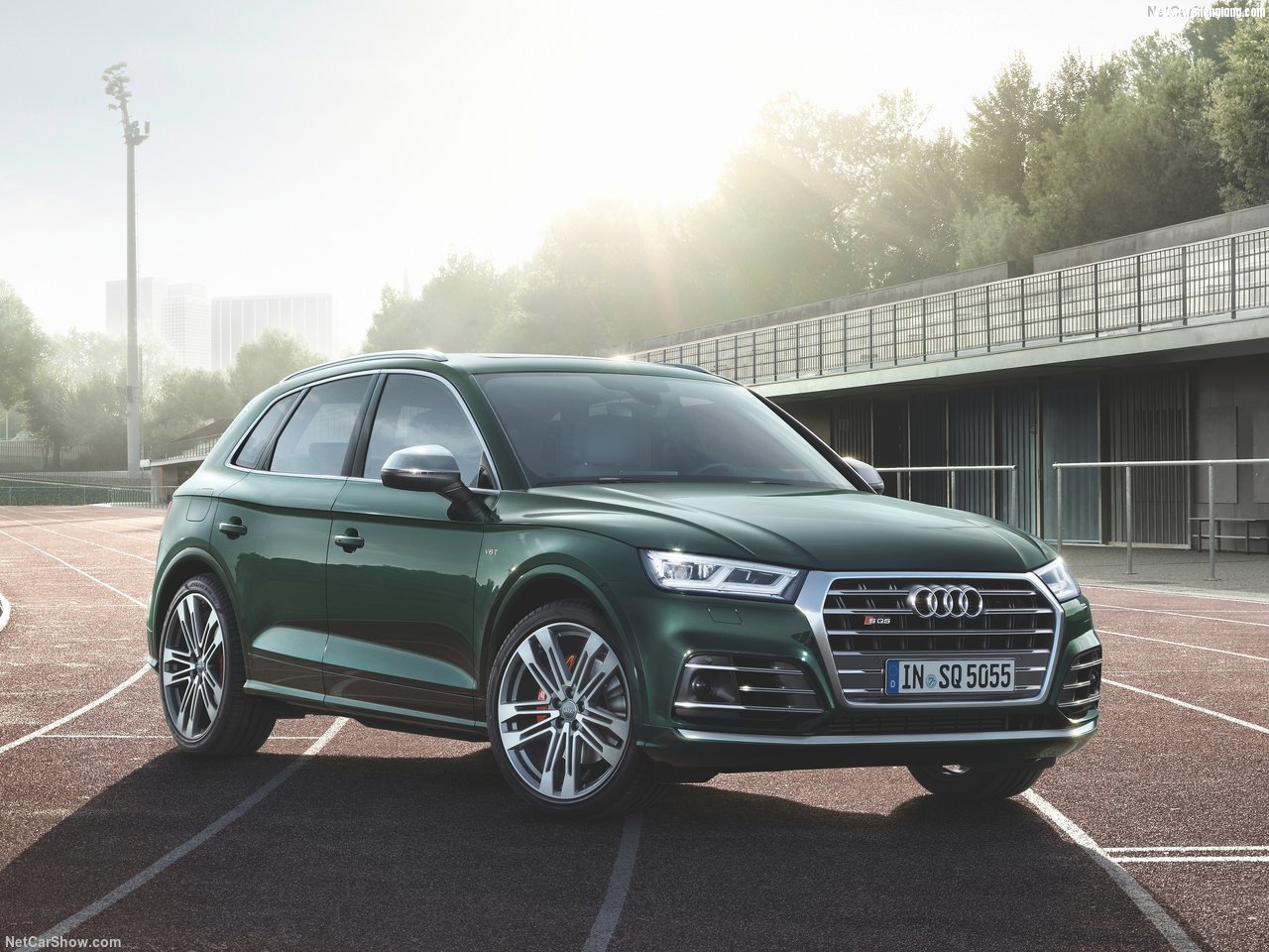 Audi-SQ5_3.0_TFSI-2018-1280-05.jpg