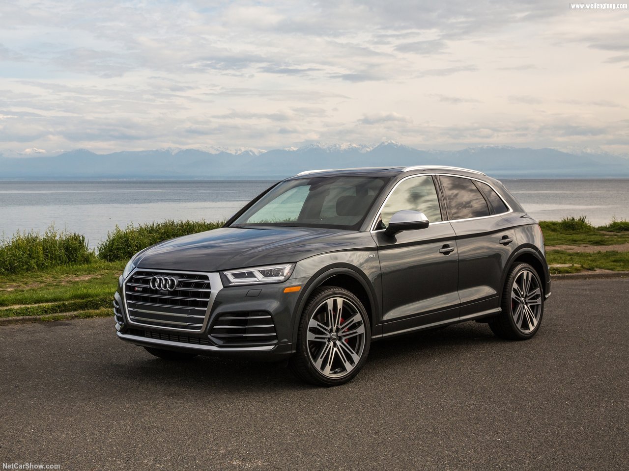 Audi-SQ5_3.0_TFSI-2018-1280-07.jpg