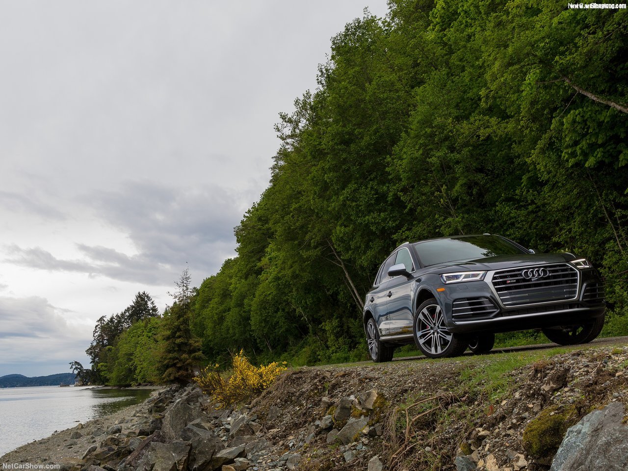 Audi-SQ5_3.0_TFSI-2018-1280-11.jpg