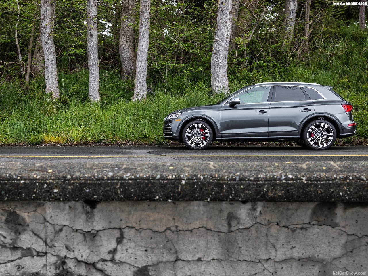 Audi-SQ5_3.0_TFSI-2018-1280-2b.jpg