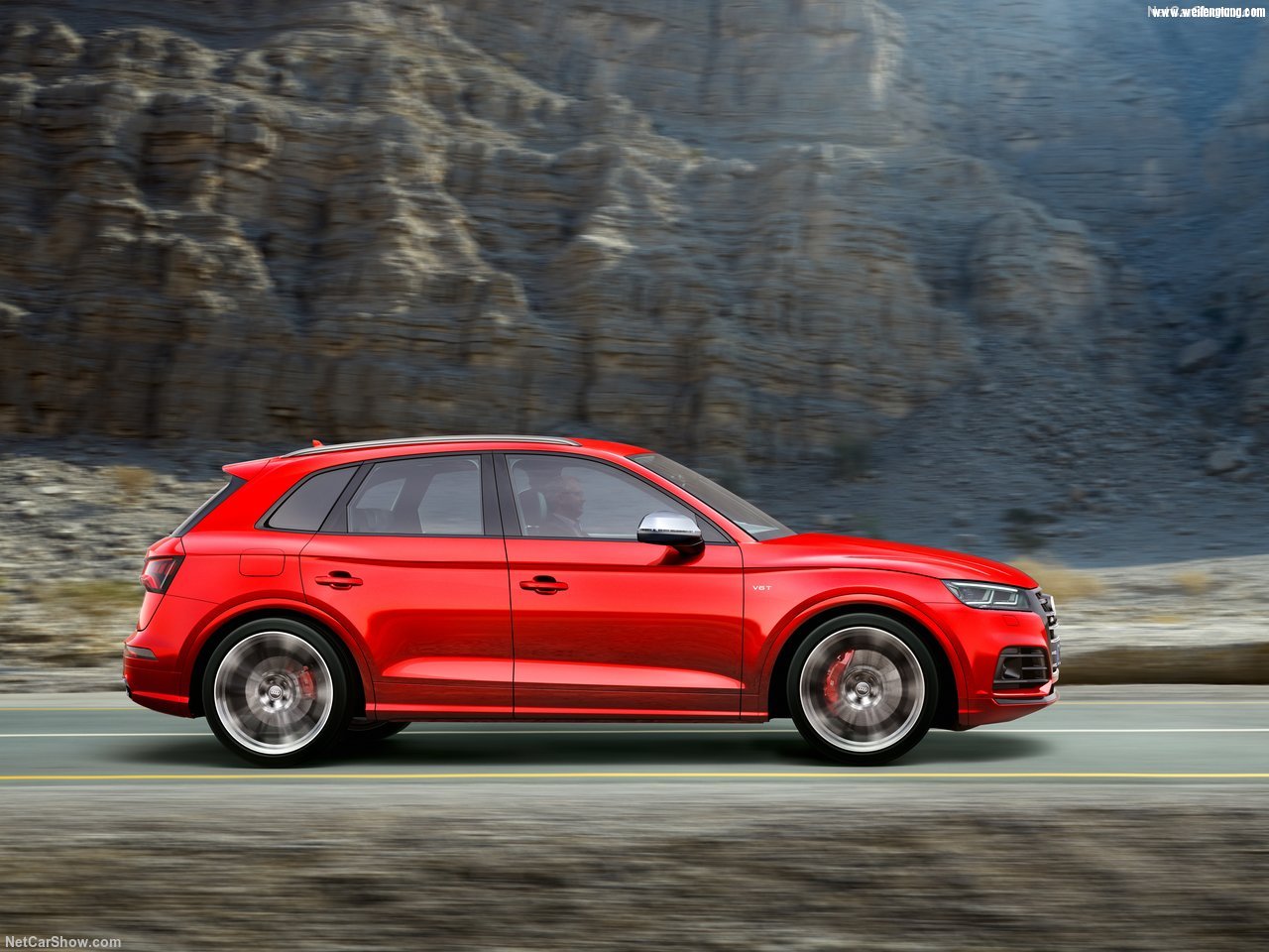 Audi-SQ5_3.0_TFSI-2018-1280-2d.jpg