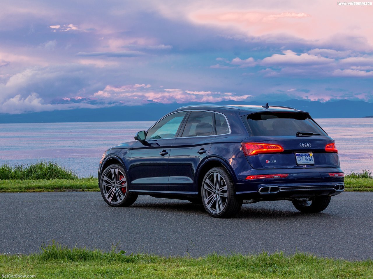 Audi-SQ5_3.0_TFSI-2018-1280-38.jpg