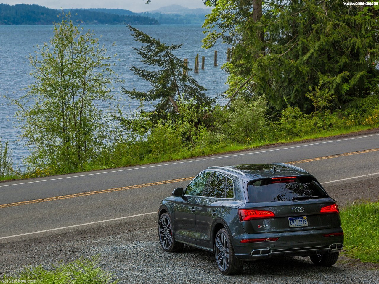 Audi-SQ5_3.0_TFSI-2018-1280-3f.jpg