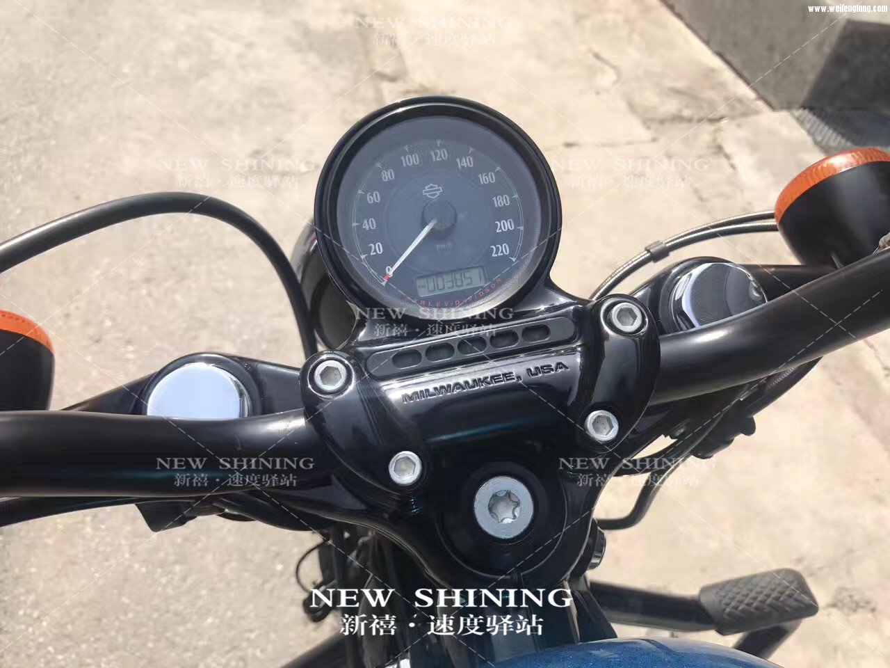 哈雷XL1200 X48  7.jpg