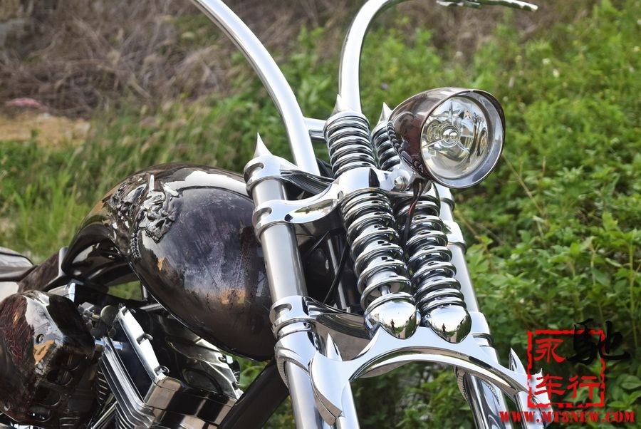 2018 美国大狗 (3).jpg