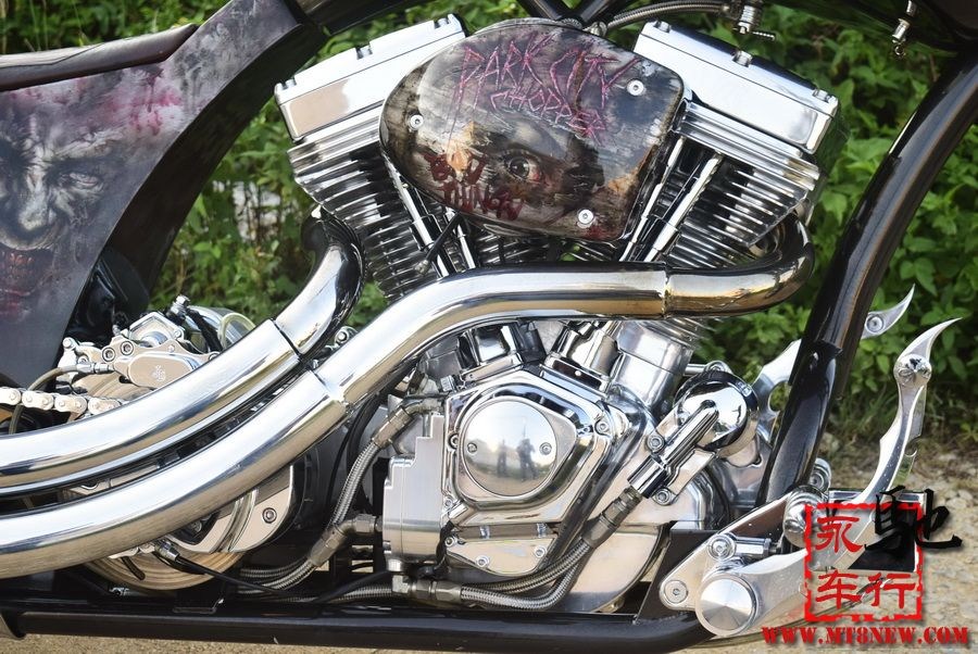 2018 美国大狗 (6).jpg