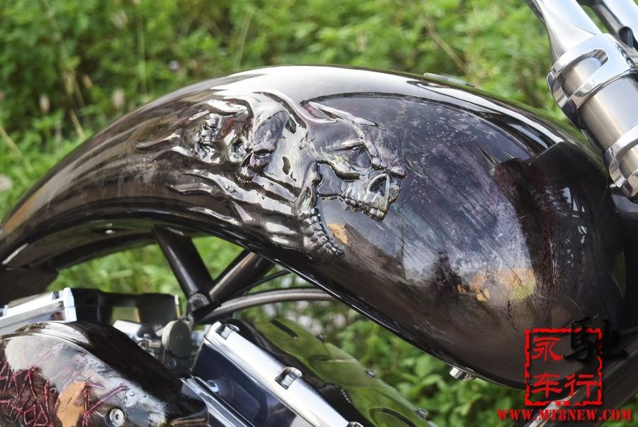 2018 美国大狗 (5).jpg