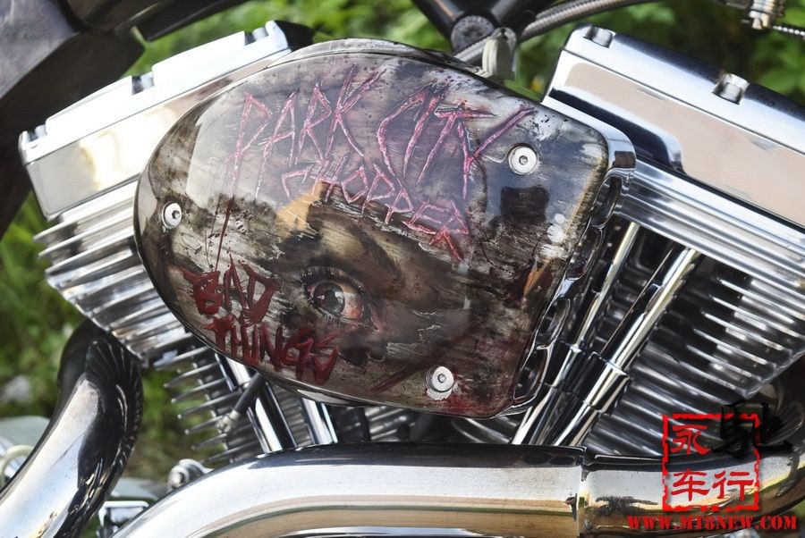 2018 美国大狗 (9).jpg