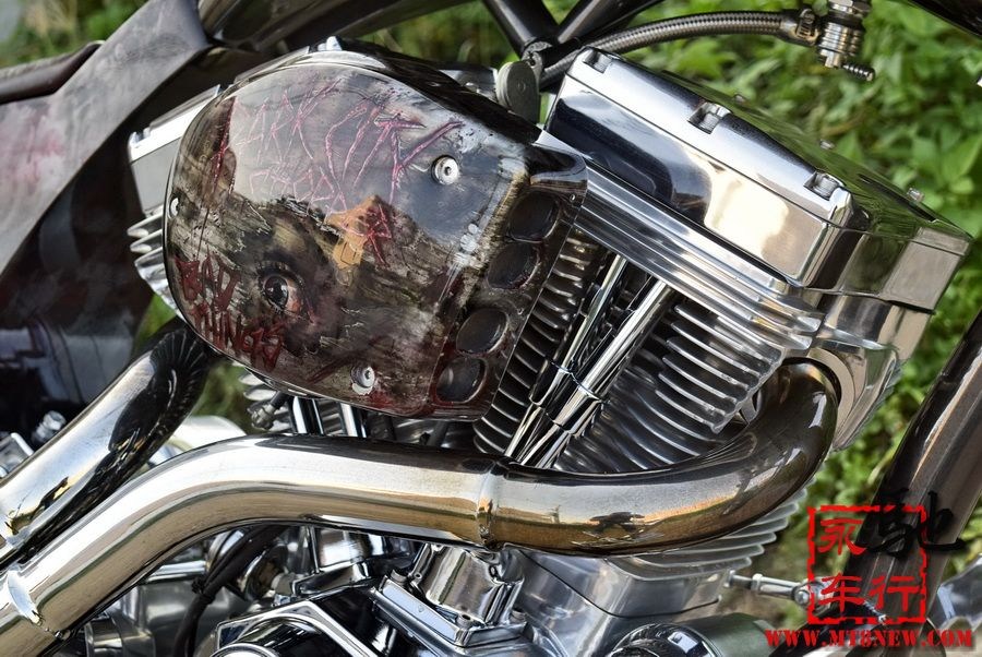 2018 美国大狗 (10).jpg