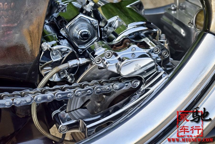 2018 美国大狗 (14).jpg