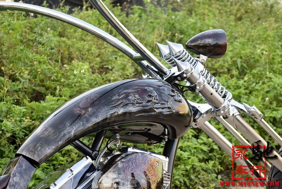 2018 美国大狗 (15).jpg