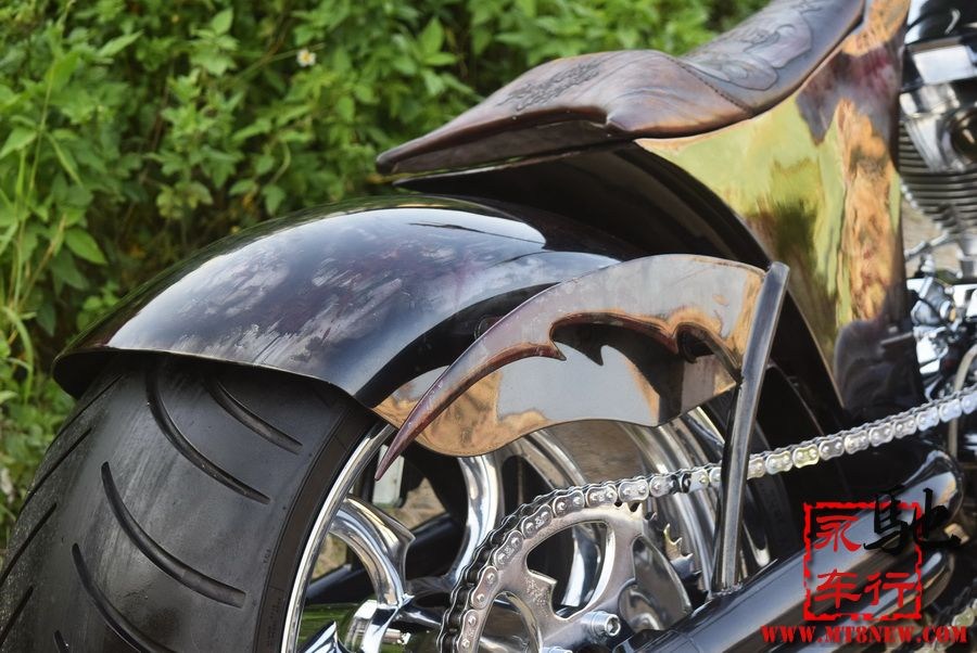 2018 美国大狗 (16).jpg