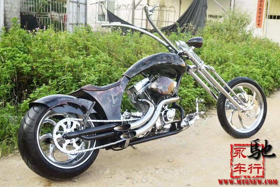 2018 美国大狗 (17).jpg