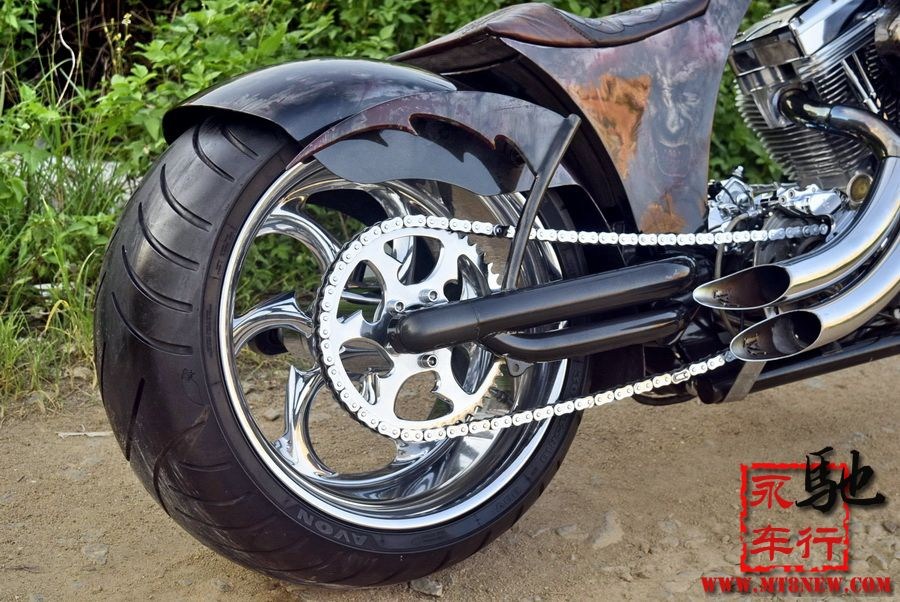 2018 美国大狗 (18).jpg