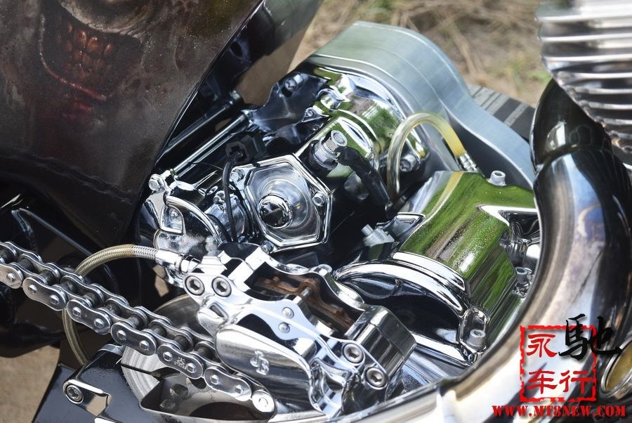 2018 美国大狗 (20).jpg