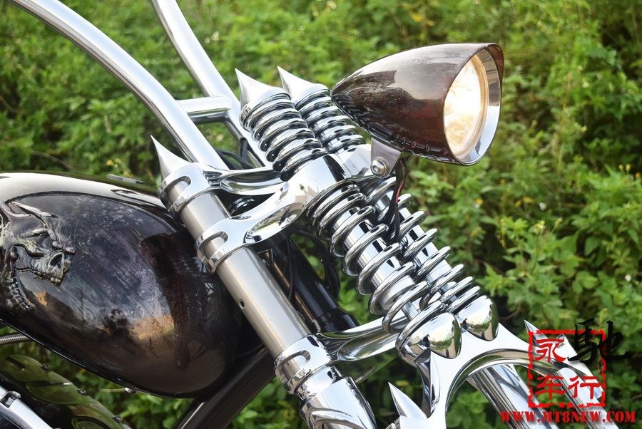 2018 美国大狗 (22).jpg