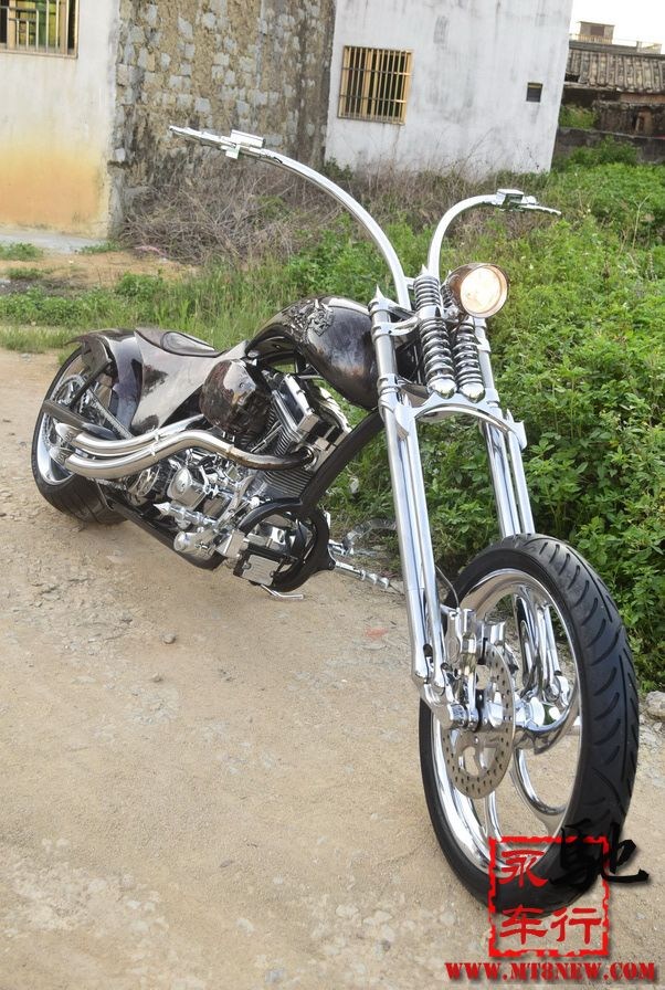 2018 美国大狗 (28).jpg