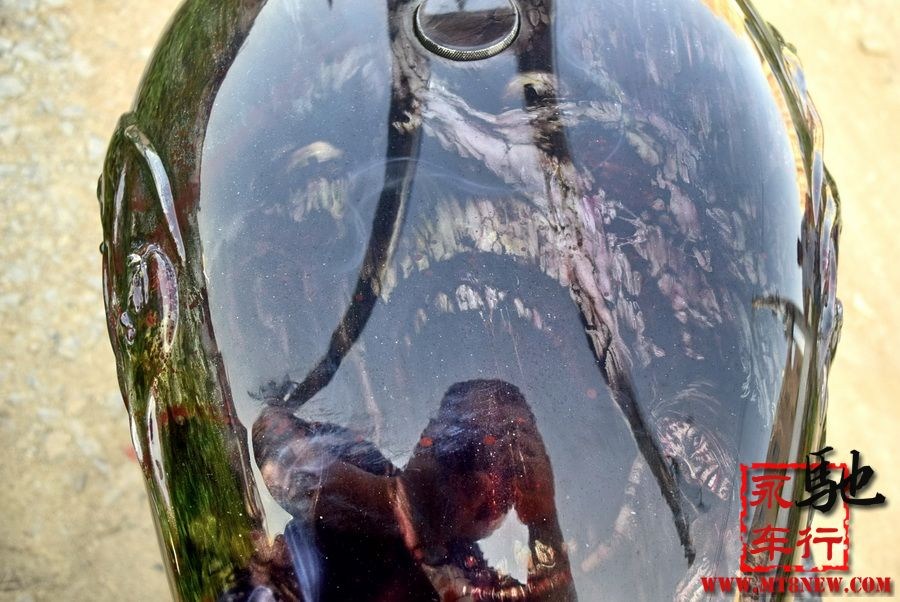 2018 美国大狗 (27).jpg