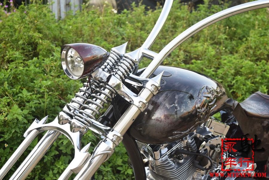 2018 美国大狗 (33).jpg