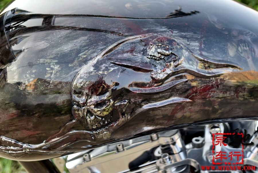 2018 美国大狗 (34).jpg