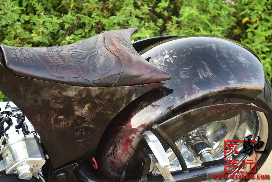 2018 美国大狗 (36).jpg