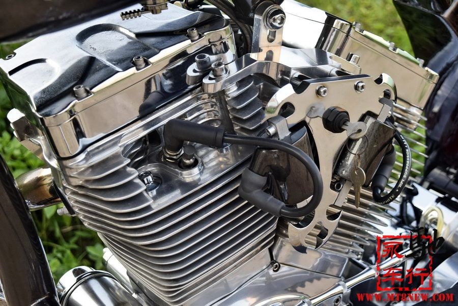 2018 美国大狗 (38).jpg