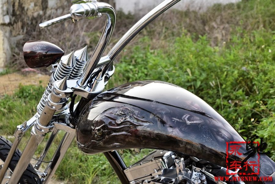 2018 美国大狗 (42).jpg