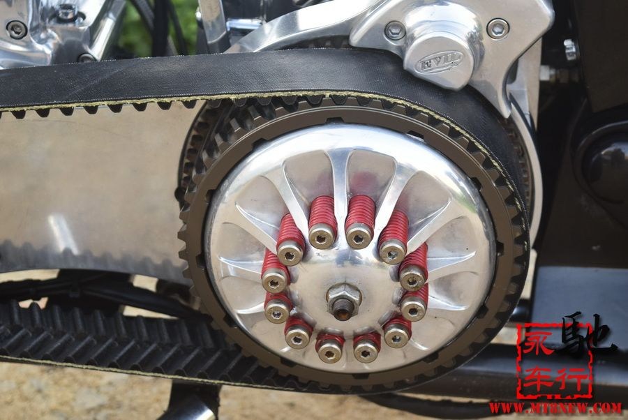 2018 美国大狗 (41).jpg