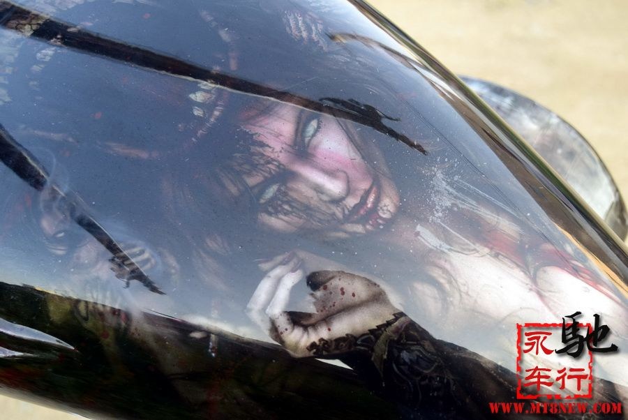 2018 美国大狗 (43).jpg